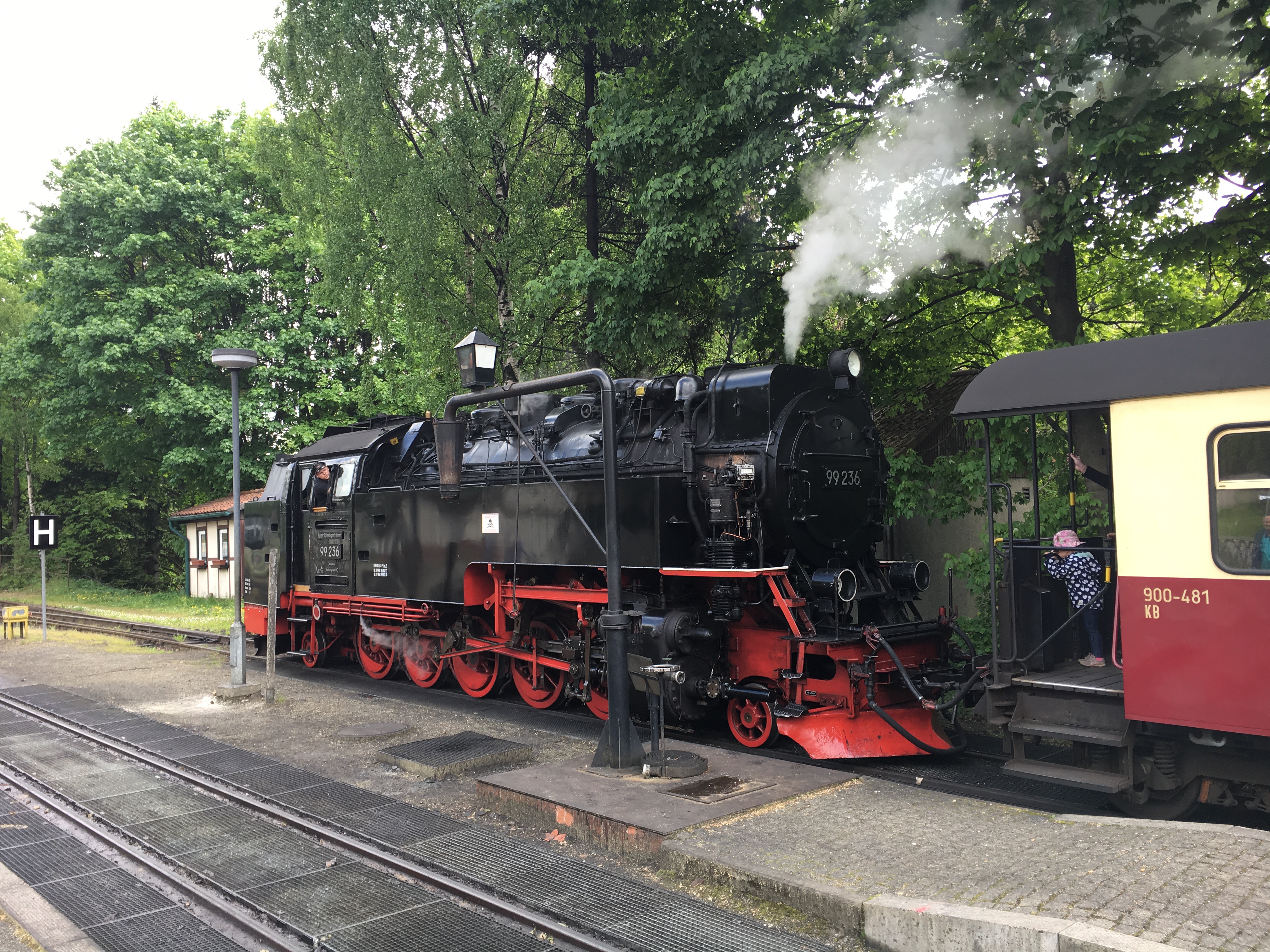 Stoomtrein Wernigerode
